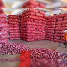 The Matel International - WhatsApp Image 2025-09-29 at 10.23.56 AM (1)